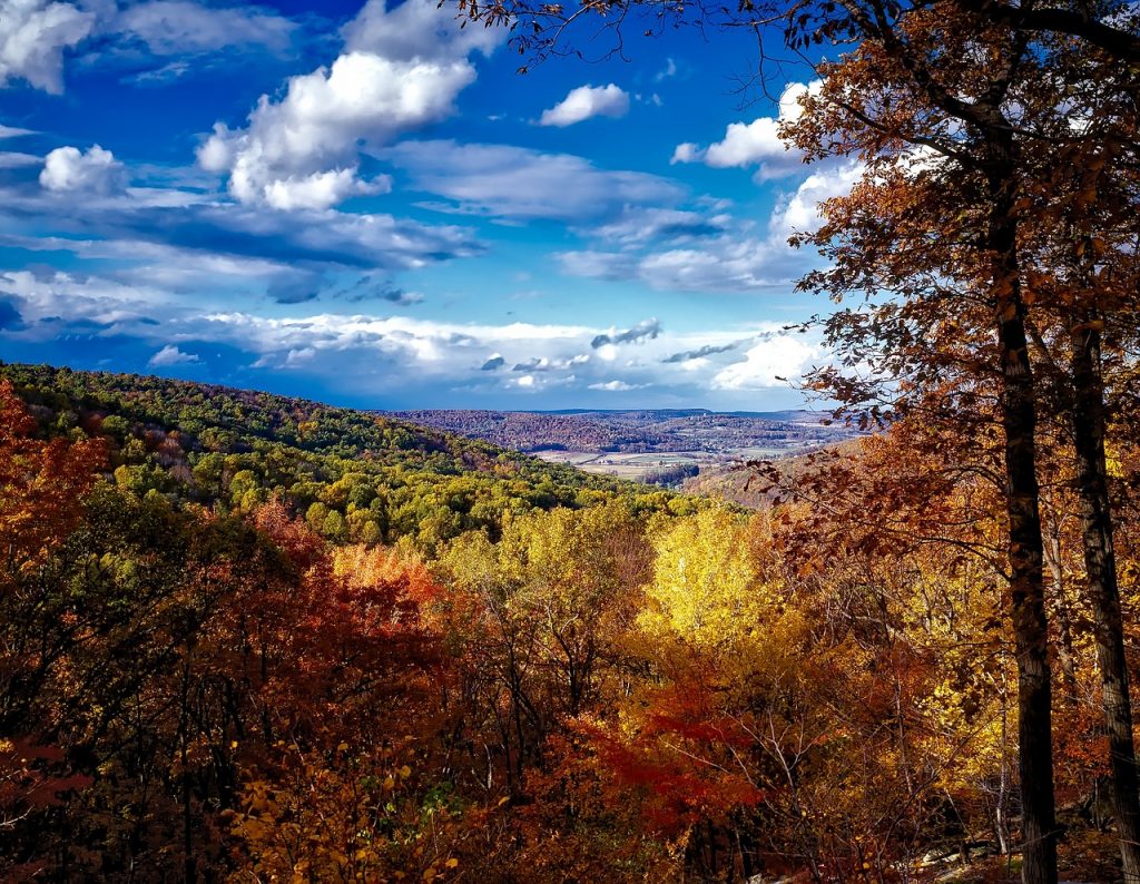 Fall Scenic Drives