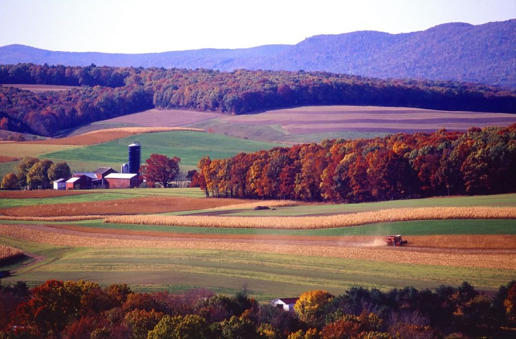 Fall Scenic Drives