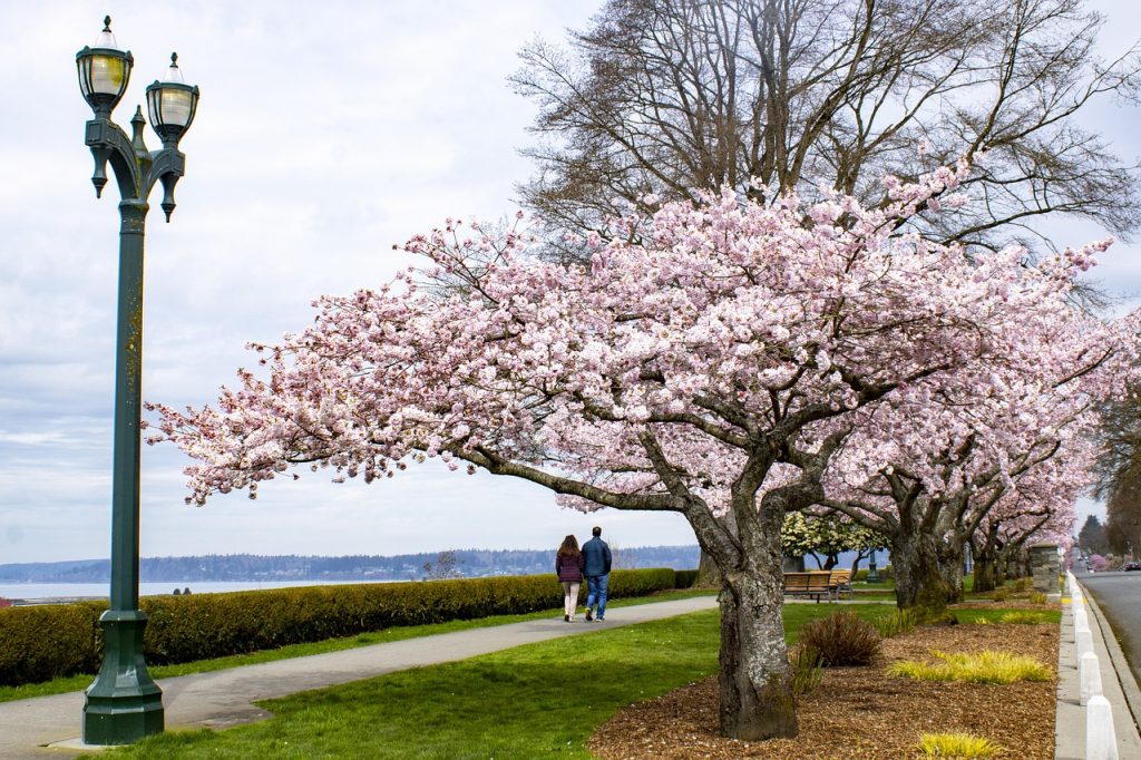 Spring Camping Destination