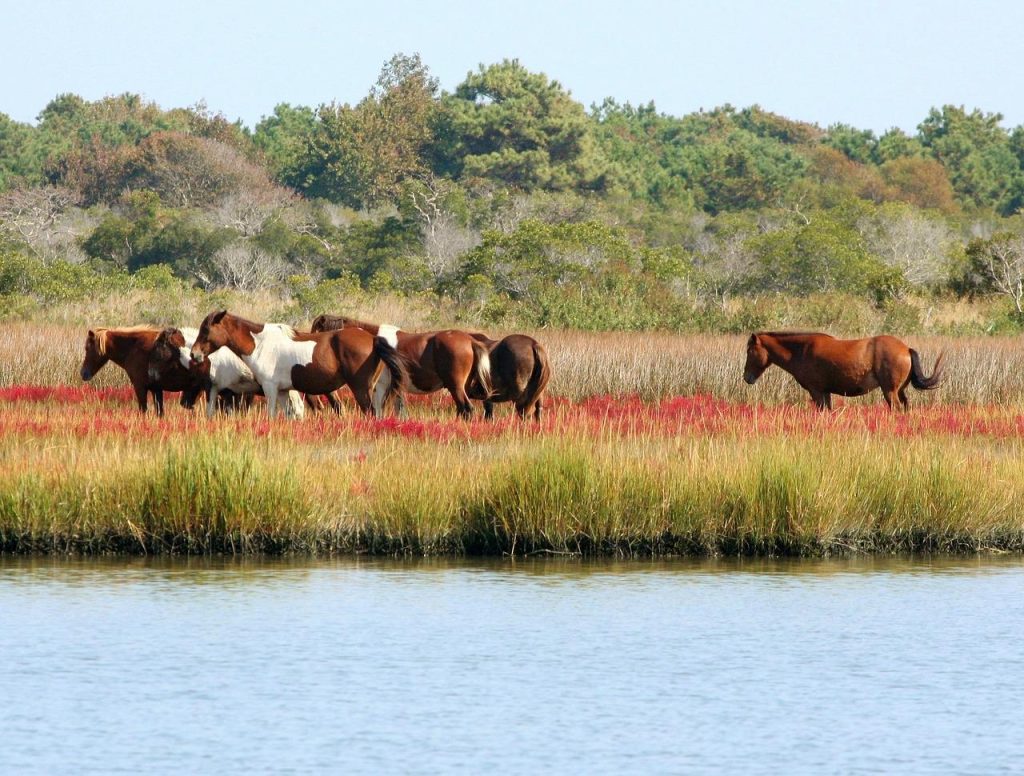 Maryland Camping Destinations